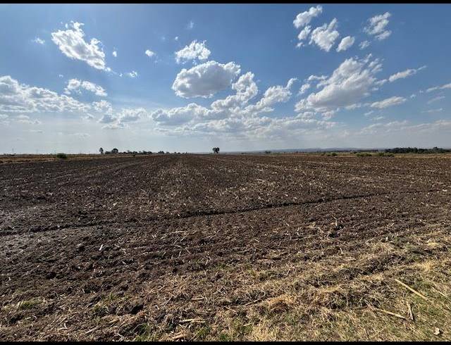 LAND FOR SALE IN CHRISSIEFONTEIN